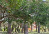 Sòl urbà en venda a la Sant Sever 45, Olesa de Bonesvalls, ref.: TR109318 foto