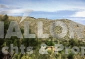 Parcela urbanizable en venta en la Carrer Major, Capdepera, ref: TR109336 foto