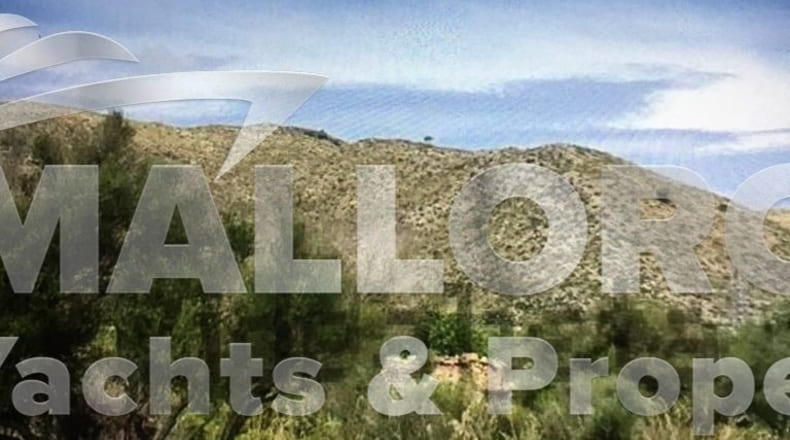 Islas Baleares - Capdepera - 17.146m2