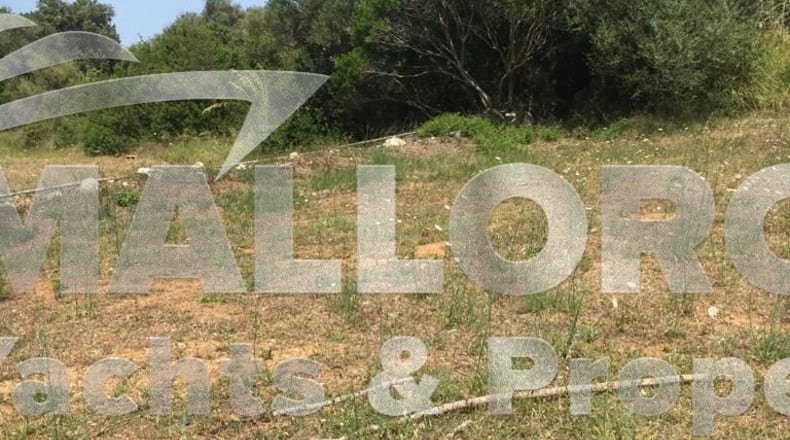Islas Baleares - Capdepera - 17.146m2
