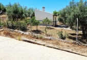 Casa de camp amb terreny en lloguer a la EL CAMPILLO, Riogordo, ref.: TR109338 foto