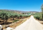 Casa de camp amb terreny en lloguer a la EL CAMPILLO, Riogordo, ref.: TR109338 foto
