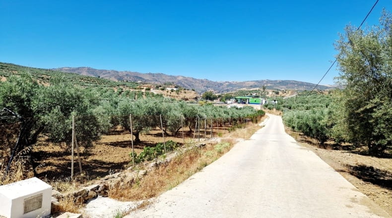 Málaga - Riogordo - 2500m2
