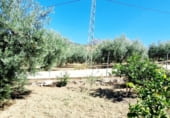 Casa de camp amb terreny en lloguer a la EL CAMPILLO, Riogordo, ref.: TR109338 foto