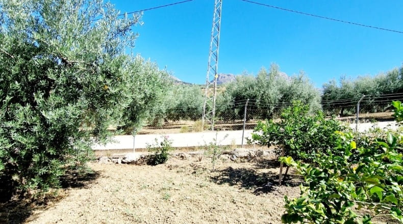 Málaga - Riogordo - 2500m2