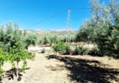 Casa de camp amb terreny en lloguer a la EL CAMPILLO, Riogordo, ref.: TR109338 foto