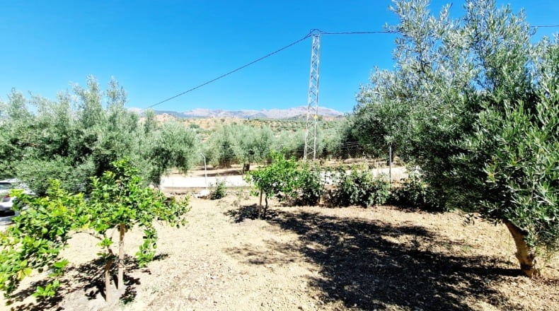 Málaga - Riogordo - 2500m2