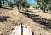 Casa de camp amb terreny en lloguer a la EL CAMPILLO, Riogordo, ref.: TR109338 foto