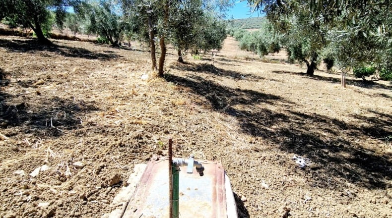 Málaga - Riogordo - 2500m2