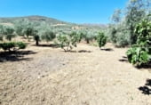 Casa de camp amb terreny en lloguer a la EL CAMPILLO, Riogordo, ref.: TR109338 foto