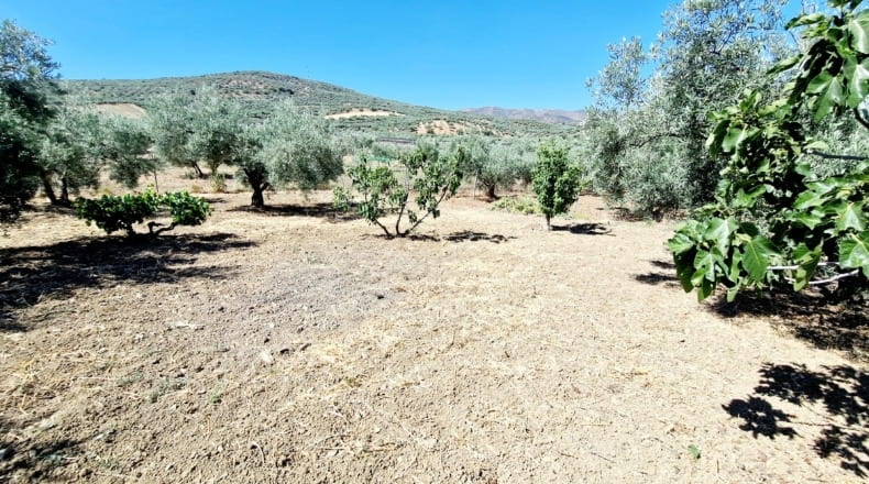 Málaga - Riogordo - 2500m2