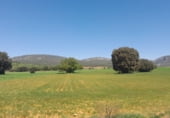 Terreno no urbanizable en venta en la CM-2108, Alcantud, ref: TR109511 foto