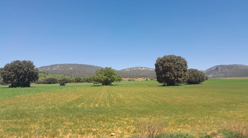 Cuenca - Alcantud - 16000m2