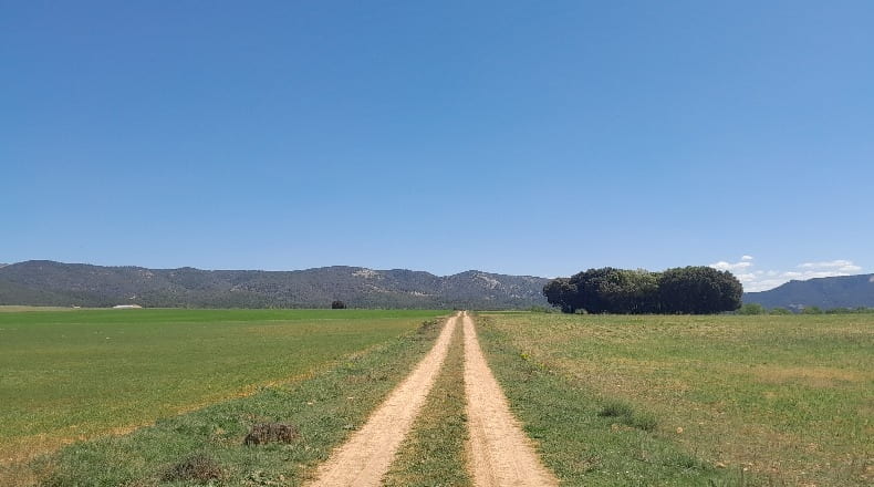 Cuenca - Alcantud - 16000m2