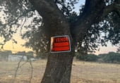 Non-developable land for sale on Poligono 10 parcela 111 Laguna, Mejorada, ref: TR109510 photo