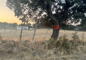Non-developable land for sale on Poligono 10 parcela 111 Laguna, Mejorada, ref: TR109510 photo