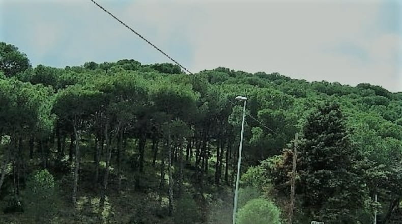 Comunidad de Madrid - San Martín de Valdeiglesias - 12000m2