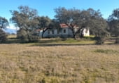 Masía con terreno en venta en la Carretera de Rosalejo a Tietar Km 3, Tiétar, ref: TR109506 foto