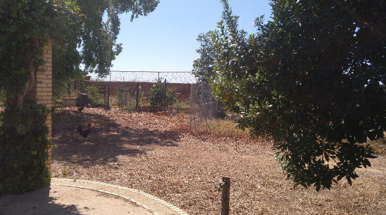 Huelva - Gibraleón - 55000m2