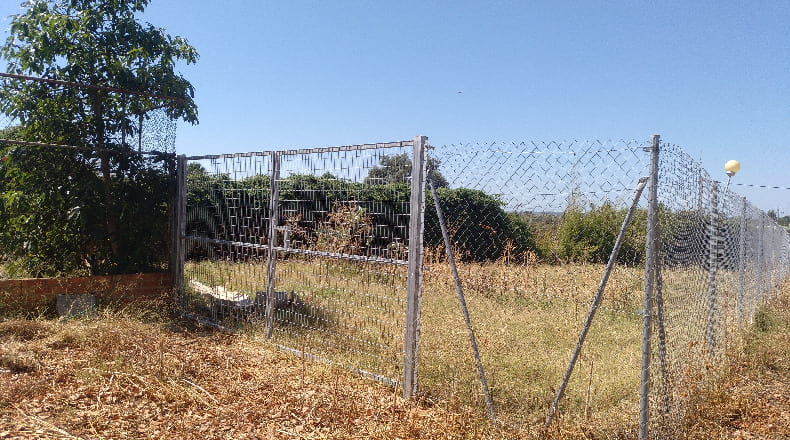 Huelva - Gibraleón - 55000m2