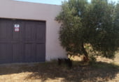 Chalet independiente con terreno en venta en la N-431, Gibraleón, ref: TR109513 foto