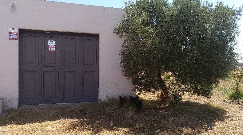 Huelva - Gibraleón - 55000m2
