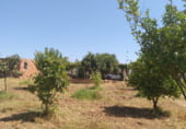 Chalet independiente con terreno en venta en la N-431, Gibraleón, ref: TR109513 foto