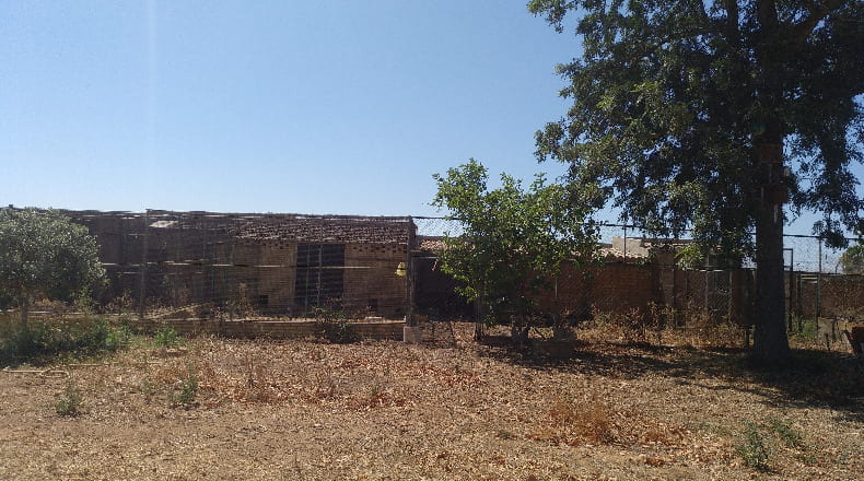 Huelva - Gibraleón - 55000m2