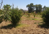 Chalet independiente con terreno en venta en la N-431, Gibraleón, ref: TR109513 foto