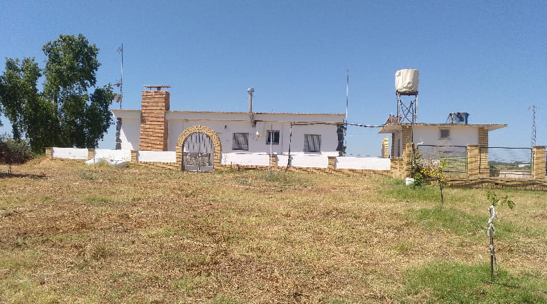 Huelva - Gibraleón - 55000m2