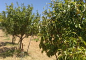 Chalet independiente con terreno en venta en la N-431, Gibraleón, ref: TR109513 foto