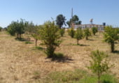 Chalet independiente con terreno en venta en la N-431, Gibraleón, ref: TR109513 foto