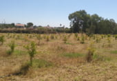 Chalet independiente con terreno en venta en la N-431, Gibraleón, ref: TR109513 foto