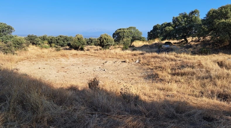 Toledo - Mejorada - 66000m2