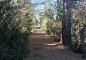Промышленное здание на продажу в городе Prado del Rey Фото