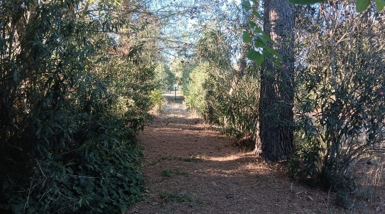 Cádiz - Prado del Rey - 6200m2