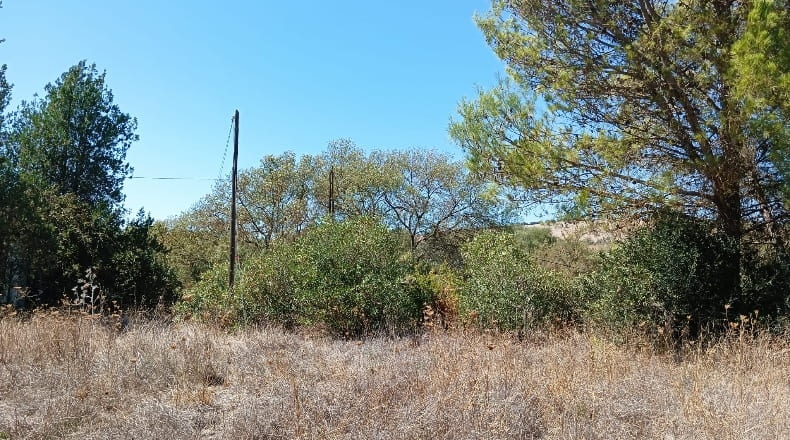 Cádiz - Prado del Rey - 6200m2