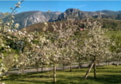 Terreny no urbanitzable en venda a la AS-345, Ruenes, ref.: TR109521 foto
