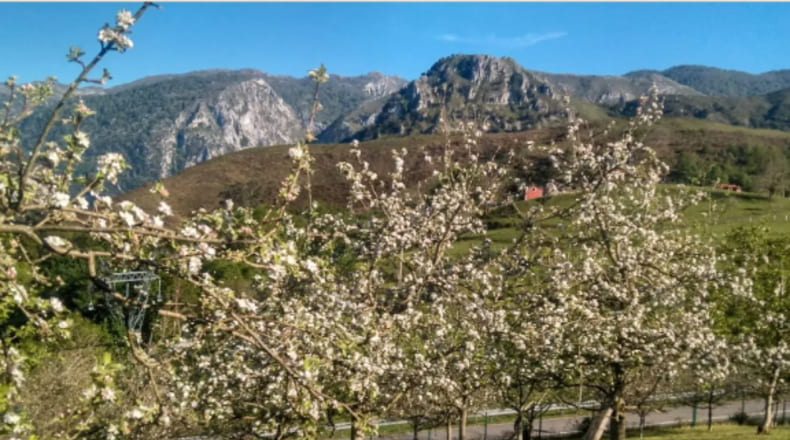 Asturias - Ruenes - 6700m2
