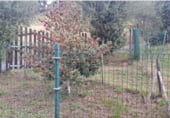 Terreny no urbanitzable en venda a la AS-345, Ruenes, ref.: TR109521 foto