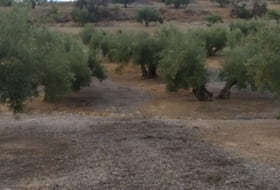 Alcoi 9000&nbsp;m² 