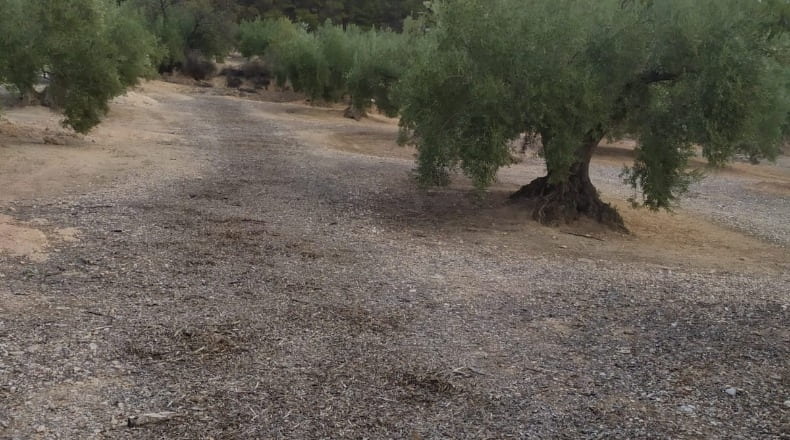 Alicante - Alcoy - 90000m2