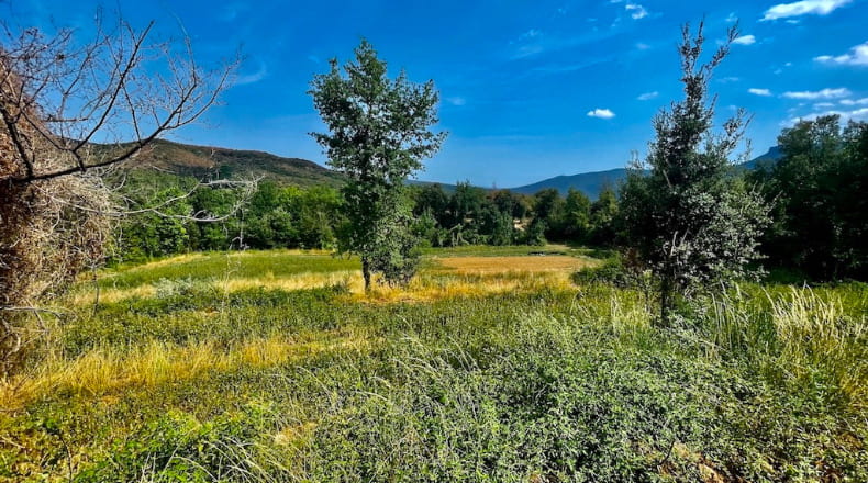 Gerona - les Planes d'Hostoles - 43000m2