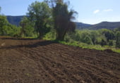 Rural estate for sale on S/N La Vila, les Planes d'Hostoles, ref: TR109524 photo