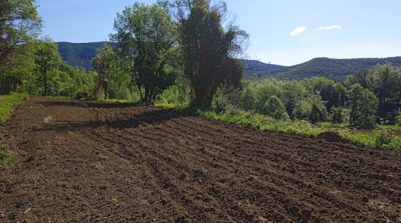 Gerona - les Planes d'Hostoles - 43000m2