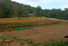 les Planes d'Hostoles 43000&nbsp;m² 