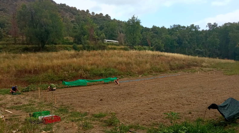 Gerona - les Planes d'Hostoles - 43000m2