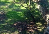 Sòl urbà en venda a la Morales del Arcediano, ref.: TR109526 foto