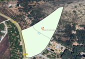 Non-developable land for sale on Urbanització Els Amics, Carcaixent, ref: TR109523 photo