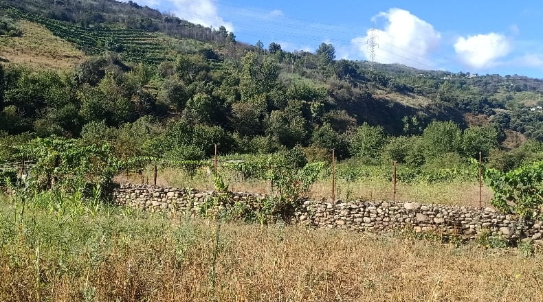 Orense - O Barco de Valdeorras - 5300m2